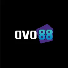 OVO88 - Aplikasi Olahraga Rumah yang Menyehatkan